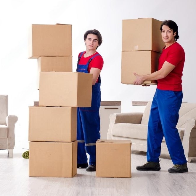 Maruti Cargo Packers And Movers